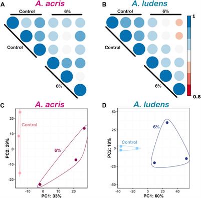 Insights into the differences related to the resistance mechanisms to the highly toxic fruit Hippomane mancinella (Malpighiales: Euphorbiaceae) between the larvae of the sister species Anastrepha acris and Anastrepha ludens (Diptera: Tephritidae) through comparative transcriptomics